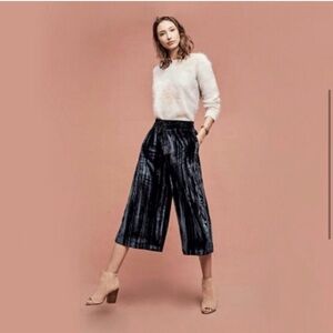 💙Anthropologie Velvet Wide Leg Crops💙